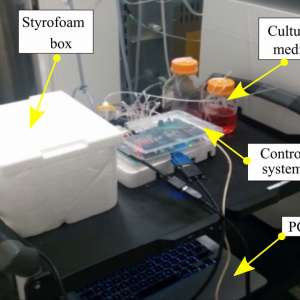Indian, US scientists grow human brain tissues in a 3D printed apparatus - Vimarsana News