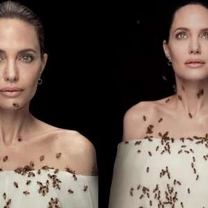 Angelina Jolie was 'covered in bees for 18 minutes' for viral photoshoot - Vimarsana News