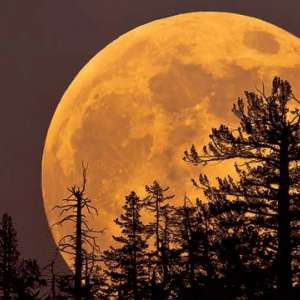 DNA Explainer: Difference between Supermoon, Blood Moon and total lunar eclipse - Vimarsana News
