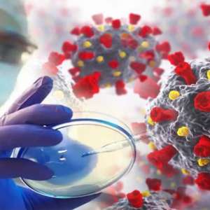 DNA Explainer: Possible relation between industrial oxygen and outbreak of black fungus - Vimarsana News
