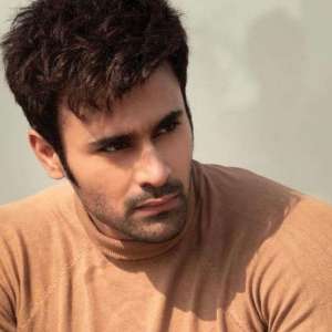 Pearl V Puri denied bail in minor rape case, victim's father says matter has 'nothing to do with marital discord' - Vimarsana News