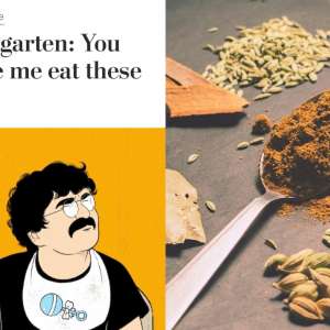 DNA Explainer: What has irked a debate around Indian food that started as tasteless humour - Vimarsana News