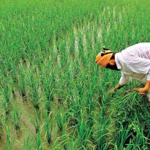 PM KISAN 10th installment likely on THIS day: Here's how to check beneficiary - Vimarsana News