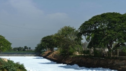 Bengaluru's lakes turn into sewage pools