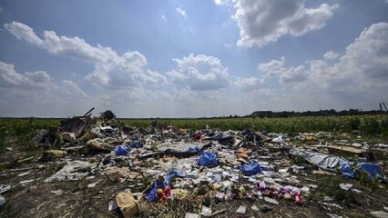 Mh17 Latest News Videos And Photos On Mh17 Dna News