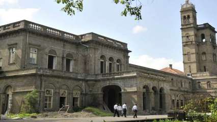 After outrage, Pune University scraps 'vegetarians only' gold medal