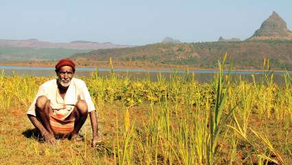 Jai Jawan Jai Kisan Latest News Videos And Photos On Jai