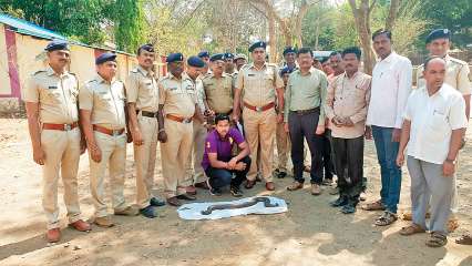 Kiran Pawar Latest News Videos And Photos On Kiran Pawar Dna News