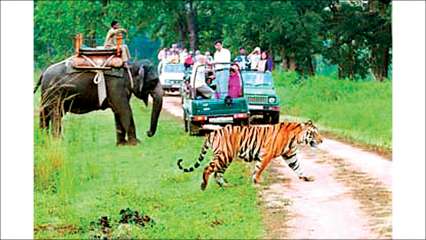pics Jim Corbett National Park Images jim corbett national park latest news