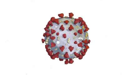The name "coronavirus" is derived from the Latin corona and the Greek κορώνη (korṓnē, "garland, wreath"), meaning crown or halo