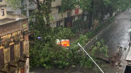 Destruction caused by Cyclone Amphan in Kolkata