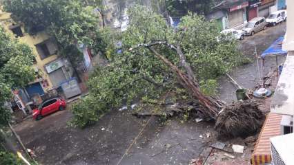 Damage by cyclone Amphan