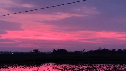 The sky in Bhubaneswar turned pink after cyclone Amphan passed