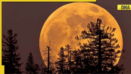 Strawberry Moon: When, where to watch the Supermoon set to peak on June 14