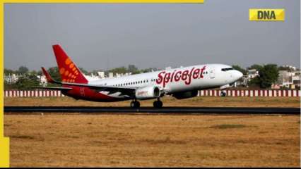 SpiceJet emergency landing: Why did the plane catch fire mid-flight? How dangerous is bird hit or BASH?