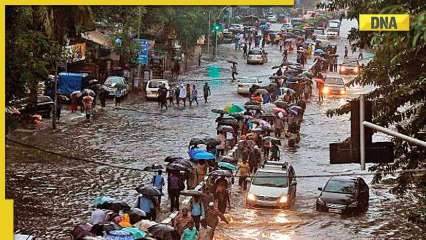 मुंबई में भारी बारिश का कहर जारी, निचले इलाकों में बाढ़, सड़क यातायात प्रभावित: 10 अंक मुंबई में भारी बारिश का कहर जारी, निचले इलाकों में बाढ़, सड़क यातायात प्रभावित: 10 अंक