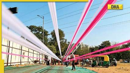 DNA Special: How kite flying is turning into a deadly hobby, courtesy Chinese manjha