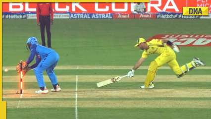 Revealed: Why Glenn Maxwell was given out despite Dinesh Karthik mistakenly dislodged the bails