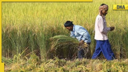 PM Kisan Mandhan Yojana 2022: How to register online for Rs 3,000 monthly pension
