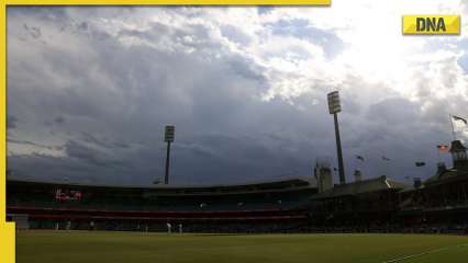 NZ vs PAK T20 World Cup semifinal: Sydney Cricket Ground pitch and weather report for New Zealand vs Pakistan