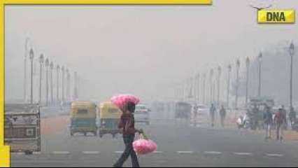 IMD weather update: Cold wave continues to grip Delhi; dense fog in Haryana, UP, Rajasthan till New Year’s Eve