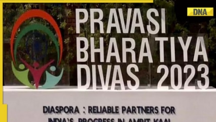What is Pravasi Bharatiya Divas: Here's all you need to know about it