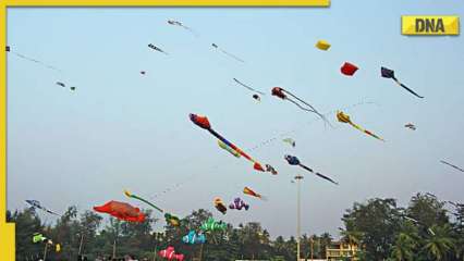 Makar Sankranti 2023: Know date, do's and don'ts to follow for International Kite Festival 2023 Gujarat
