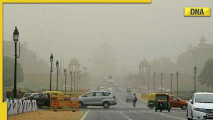 Fact Check: Will Delhi's temperature dip to sub-zero? Here's what weather agency said