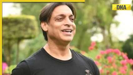 ‘Want to become PCB chairman and…’: Shoaib Akhtar wishes to take up top post