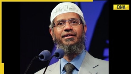 Who is Indian fugitive and Islamic preacher Zakir Naik? Quotes from his 'Hindus love me' speech