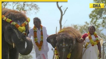 PM Modi to visit The Elephant Whisperers stars Bomman and Bellie during his visit to Mudumalai Tiger Reserve