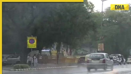 ‘Delhi ka mijaz…’: Delhi-NCR, Noida, Ghaziabad witness rainfall after severe heatwave, netizens react