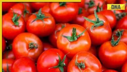 Tomato prices have fallen to Rs 50-70 per kg with arrival of fresh crops: Centre