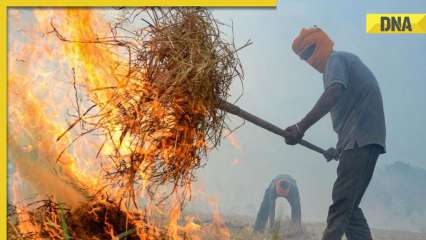 Stubble burning incidents drop by 56% in Punjab, 40% in Haryana this year: Centre
