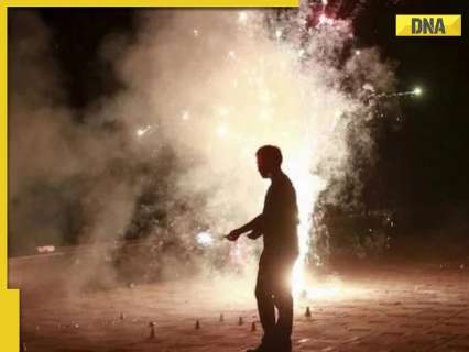 DNA TV Show: Public calls out celebrities' hypocrisy on Diwali pollution