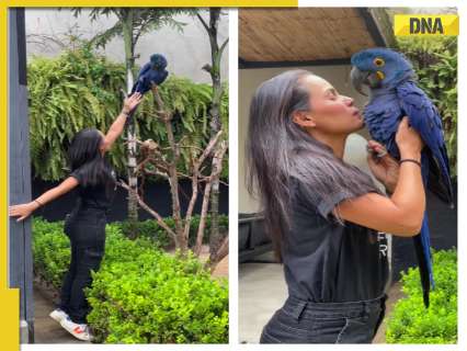 'Felt the warmth...': Viral video shows girl pampering blue giant parrot, netizens react, WATCH