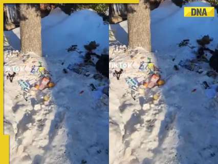 Controversial clip accuses Indian international students of dumping garbage in Canada, video goes viral