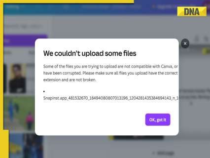 Canva down? Users in India, other countries face major disruptions while editing images