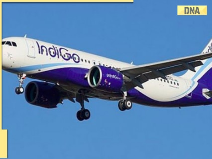 Letalo družbe IndiGo se je zaradi suma trka z ptico vrnilo v Nagpur