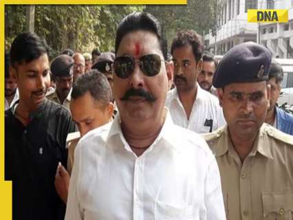 Dularchand Yadav murder: JDU Mokama candidate Anant Singh arrested, named 'prime accused'