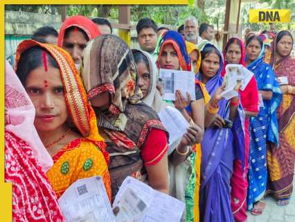 Bihar Election Results 2025: What happens after counting? Know how a government is formed