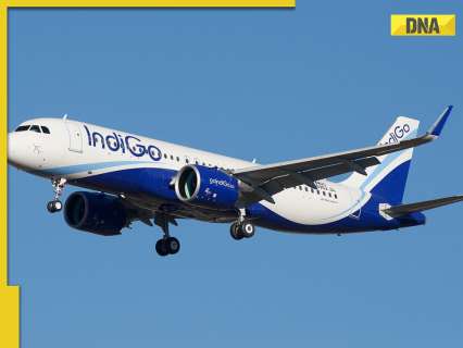 Indigo flight refunds BIG update: Airline processes refunds worth Rs 650 crore amid cancellation chaos, step-by-step guide to check your refunds