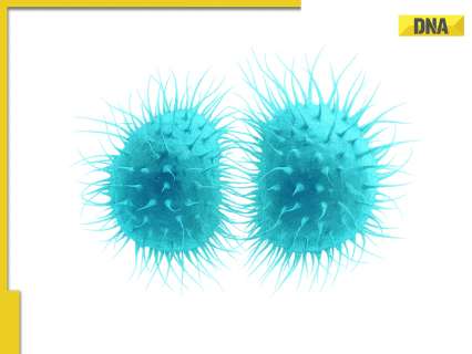 Meningococcal prevention in focus after recent deaths: Why early vaccination matters