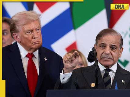 US-Iran ceasefire: Pakistan is not credible as mediator? Israeli envoy claims US used Pak for 'own reason'