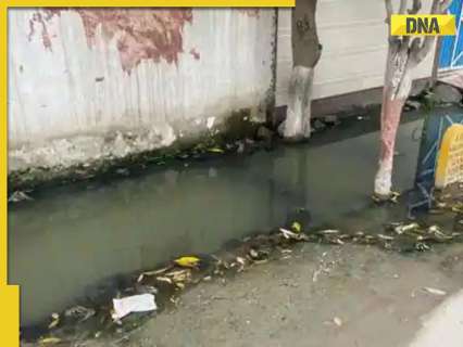 Faridabad's Budhaina village set for major overhaul with Rs 14 crore development plan, sewer, road worse to be fixed