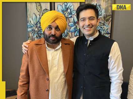 Raghav Chadha Joins BJP: Punjab CM Bhagwant Mann's 'sabzi' post goes viral after ex-AAP leader switch