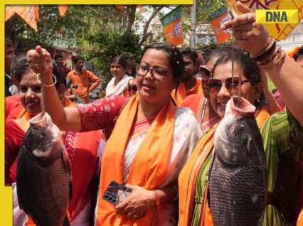 Did Fish Win West Bengal? How Hilsa, Rohu, Bhetki, Katla became BJP's surprise weapon in West Bengal Election 2026?