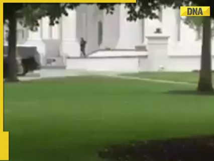 White House Shooting: Suspect dead, Trump 'not impacted', lockdown lifted; Video surfaces