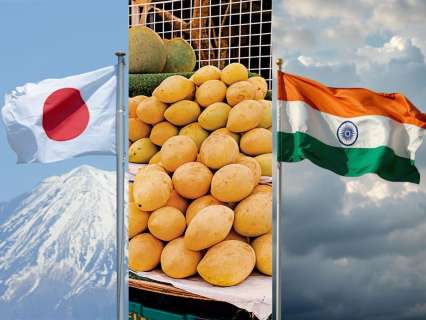 Why did Japan ban Indian mangoes after 20 years? Shocking truth revealed here