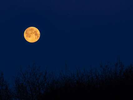 What is Blue Moon? Rare bright moon to be seen on May 31; Check timing in India, more here